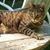 Linda Ouellette's profile image