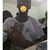 Ygoor Pessanha's profile image