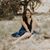Yen Phuong's profile image
