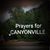 Mandi Brown's profile image