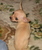 Christine W.'s profile image