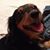 Yael Gershon Fishman's profile image