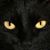 Arlette Howard's profile image