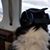 Linda Ulrich Emerine's profile image