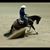 Gretchen Hartmann Waldo's profile image