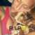 Laura Renee Schrader's profile image