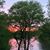 Karen Ryan Smith's profile image