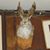 David Trevino's profile image