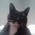 Meri Joy Brightwell's profile image