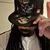 Jareal Tillman's profile image