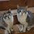 JoAnne LaPorte's profile image