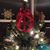 Michele Shafer's profile image