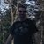 Travis Peterson's profile image