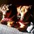 Carolyn Lockhart McCrary's profile image
