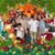 Joyce M Garcia's profile image