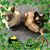 Candie Parker Vaughan's profile image