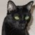 Kevin Juhl's profile image