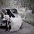 Alisa Habeck's profile image