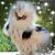 Jaime Lu's profile image