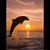 Frank Suttles's profile image