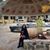 Cerena Barraza's profile image