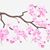 Karen Balfour-Tutein's profile image