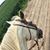 David Alvarez's profile image