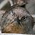 Terry Jenkins's profile image