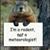 Ken Morrison's profile image