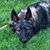 Pam Grubbs's profile image