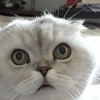 Nancy Wenn's profile image