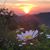 TaraLee Kepner's profile image