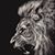 Dilshod Iskhakov's profile image
