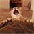 Bobbie Scott's profile image