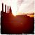 Damian Mitchell's profile image