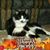 Lori Woodward's profile image