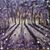 Darlene M. Clarke's profile image