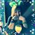 Dina White's profile image