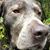 Jamie Lee Fronina's profile image
