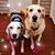 Nanci Robbeloth's profile image