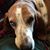 Cynthia N Mark Housel's profile image