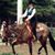 Janie Bigham's profile image
