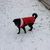 Joe Davis Smith's profile image