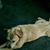 Linda Spencer Gray's profile image