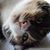 Lynn M Biela's profile image