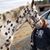 Theresa Fanelli's profile image