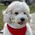 Beth Zyer's profile image