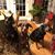 Janine Brabrand's profile image