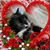 Shelley Eschker's profile image