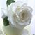 Lourdes Maria's profile image